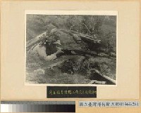 藏品(緬北戰鬥：我在猛古渡對江所設之機鎗陣地)的圖片